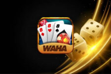 Waha Club – Cách tải game Waha Club APK, IOS có tặng thưởng 2023