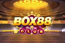 Box88 – Cách tải game Box88 APK, IOS có tặng thưởng 2023